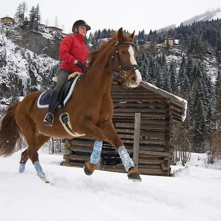 Romantikpension Anna Maison d'hôtes