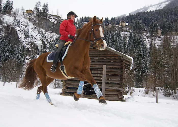 Romantikpension Anna Maison d'hôtes
